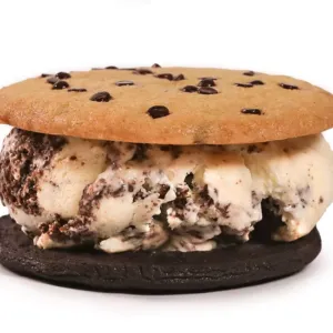 Cookies & Cream Ice Cream Sandwich