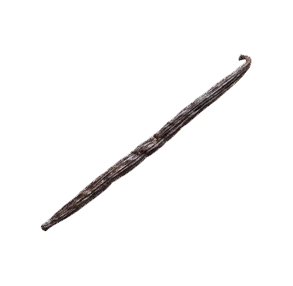 Vanilla Pod