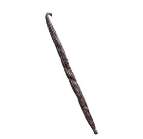 Vanilla Pod