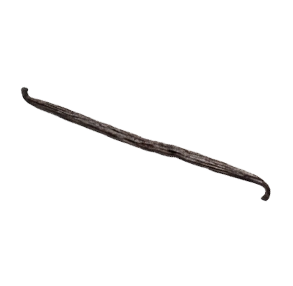 Vanilla Pod
